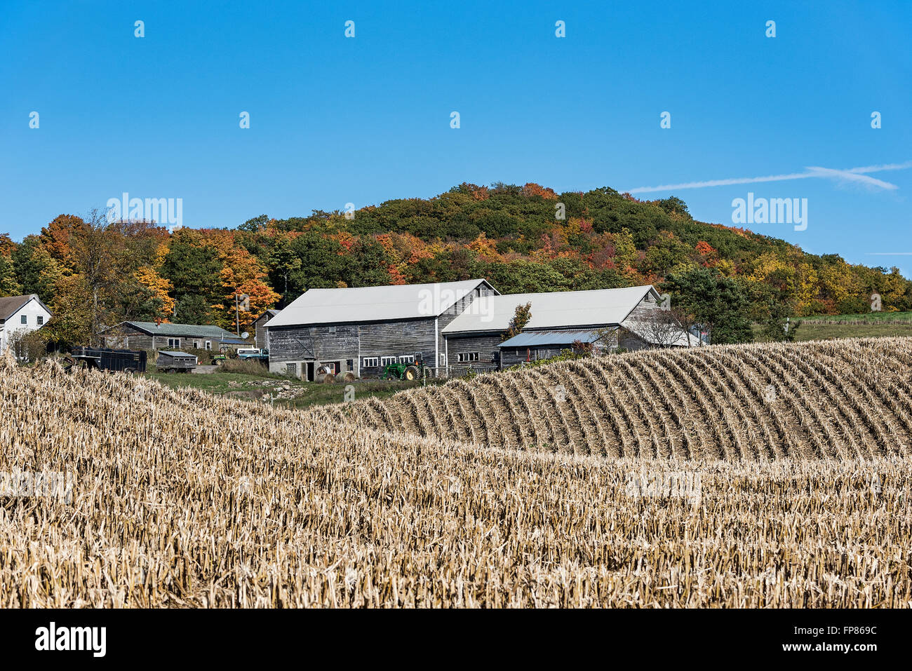 Fienile Rustico e campo di mais, East Springfield, New York, Stati Uniti d'America Foto Stock