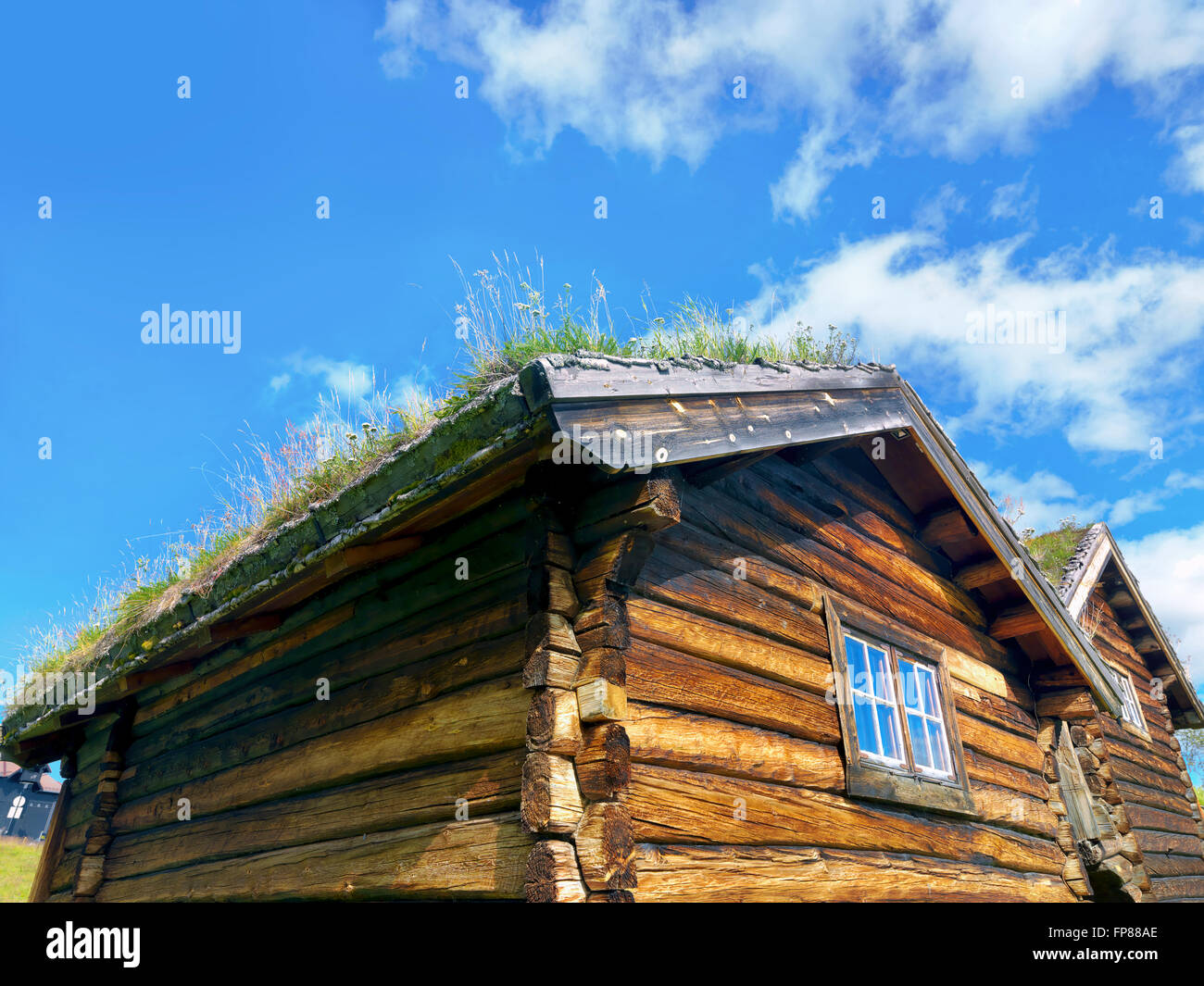 Tipica piccola casa di registro con tetto di erba in Norvegia Foto Stock