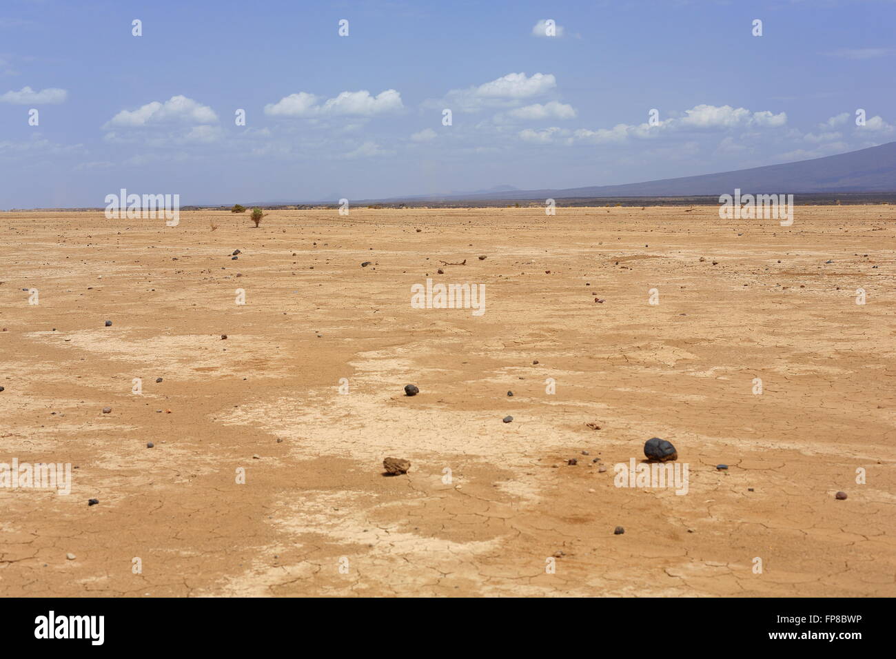 Asciutto terra sterile di Danakil deserto-tutti i brani cancellati in modo da Afrera città per Dodon-campo base al vulcano Erta Ale. Foto Stock