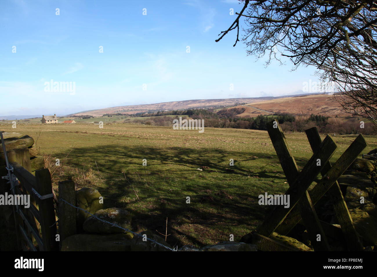 Saxonville Moor, Goathland, North Yorkshire, Foto Stock