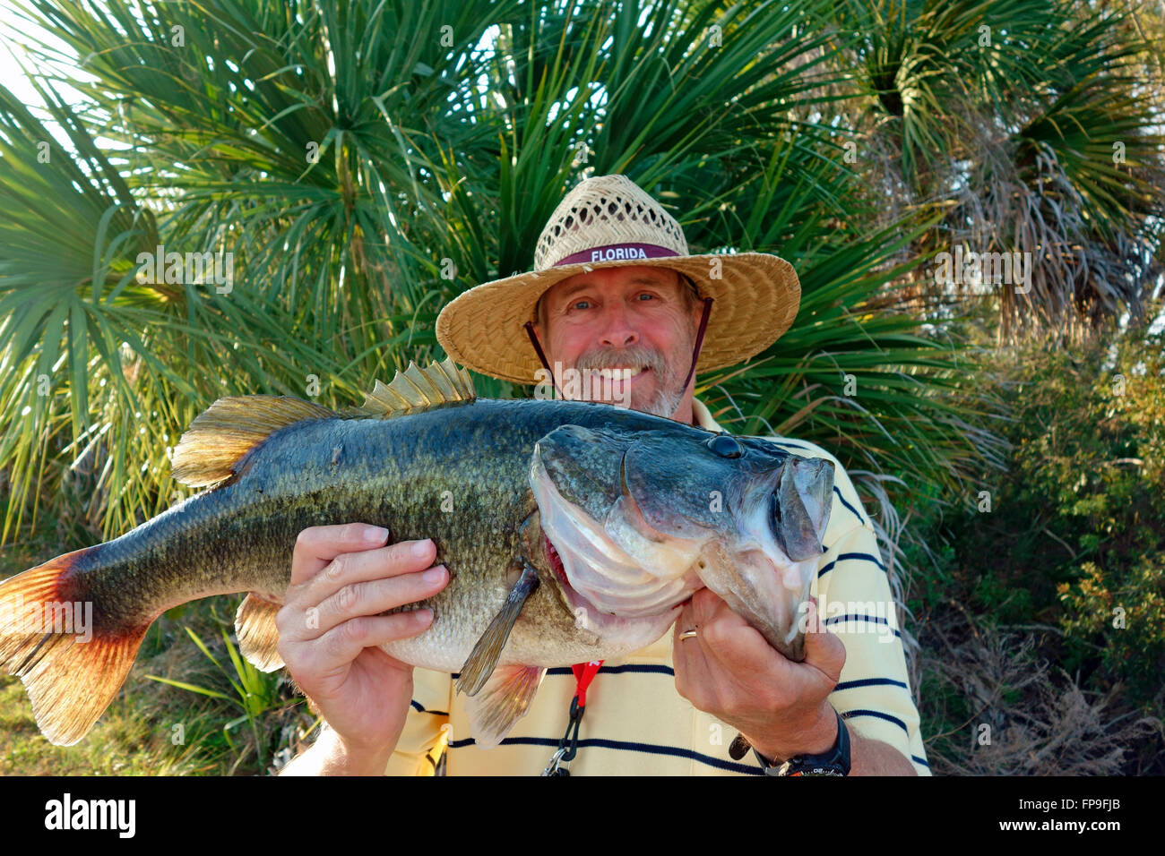Un pescatore in Florida, Stati Uniti d'America tenendo un grande Largemouth Bass pesce Foto Stock