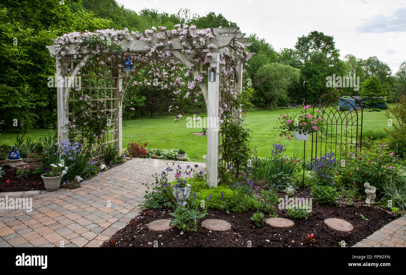 Primavera fiore giardino twining vine Arbor percorso, arco, clematis rosa Montana Maylene e Rubins viti con fiori, New Jersey, USA, US, FS 11.19 MB, Foto Stock