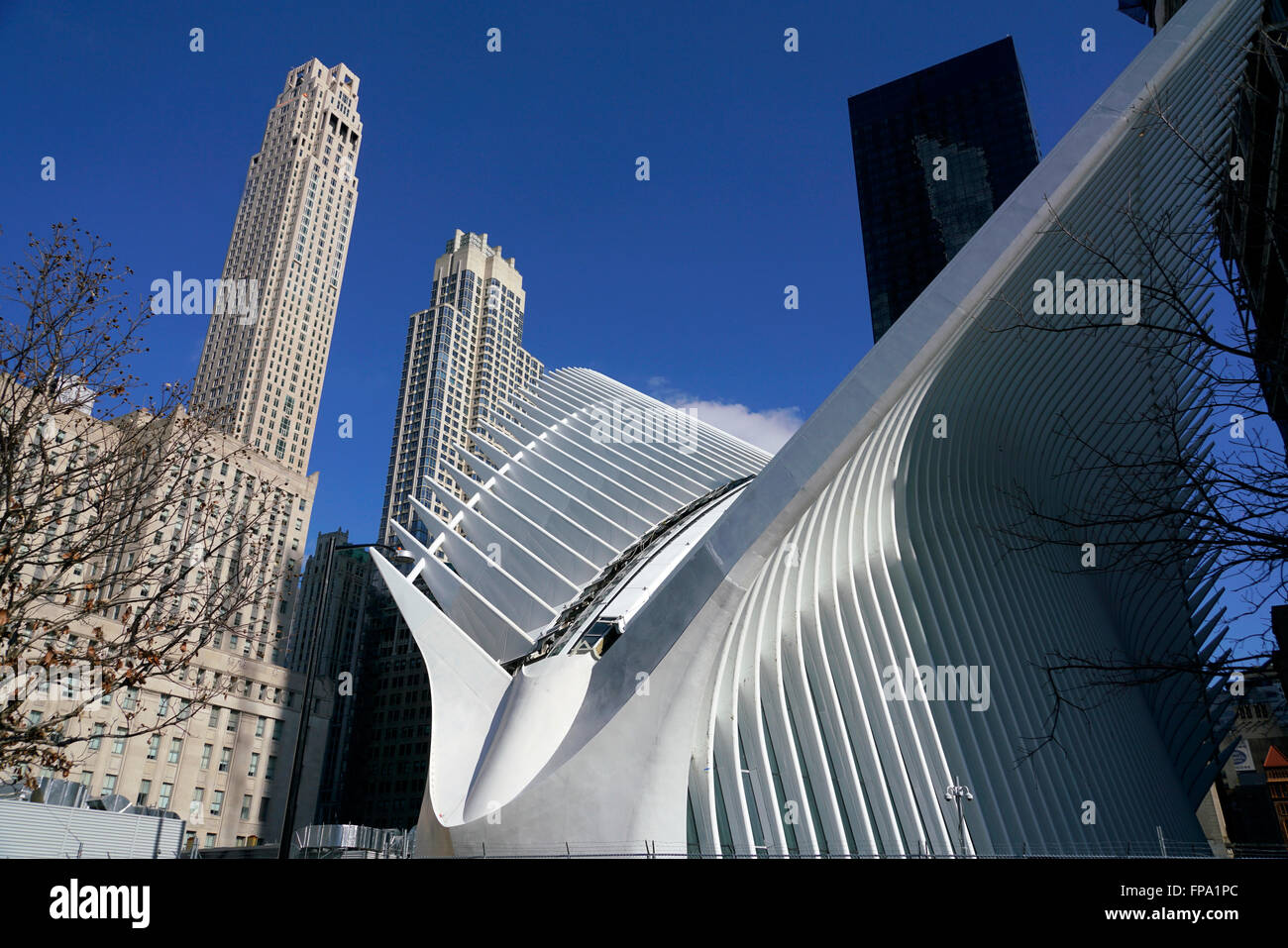 Vista esterna dell'occhio del World Trade Center Hub di trasporto il percorso dalla stazione di Lower Manhattan, New York City, Stati Uniti d'America Foto Stock