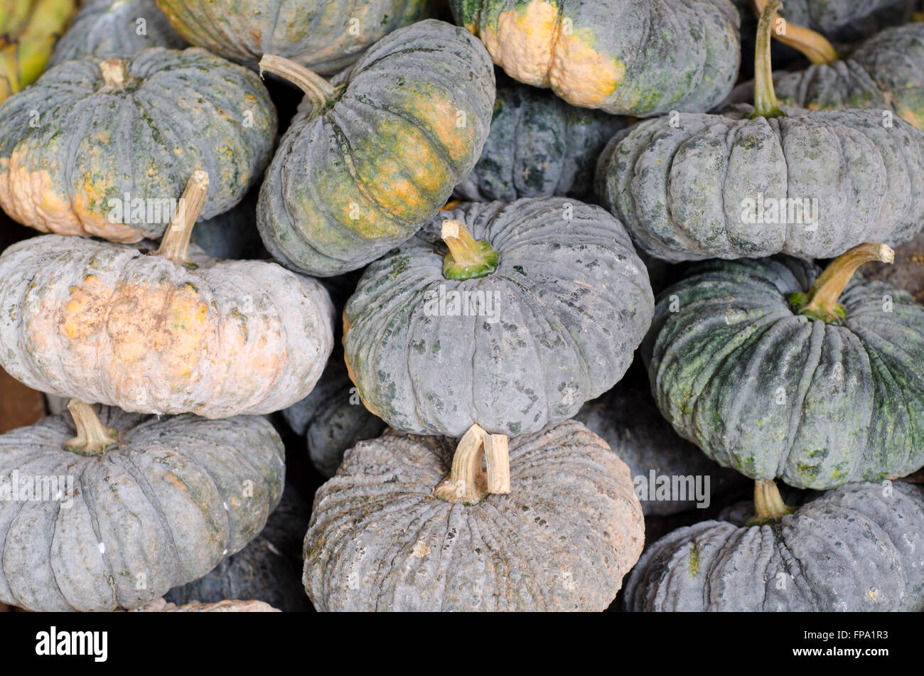 Le zucche nel mercato locale, Thailandia Foto Stock