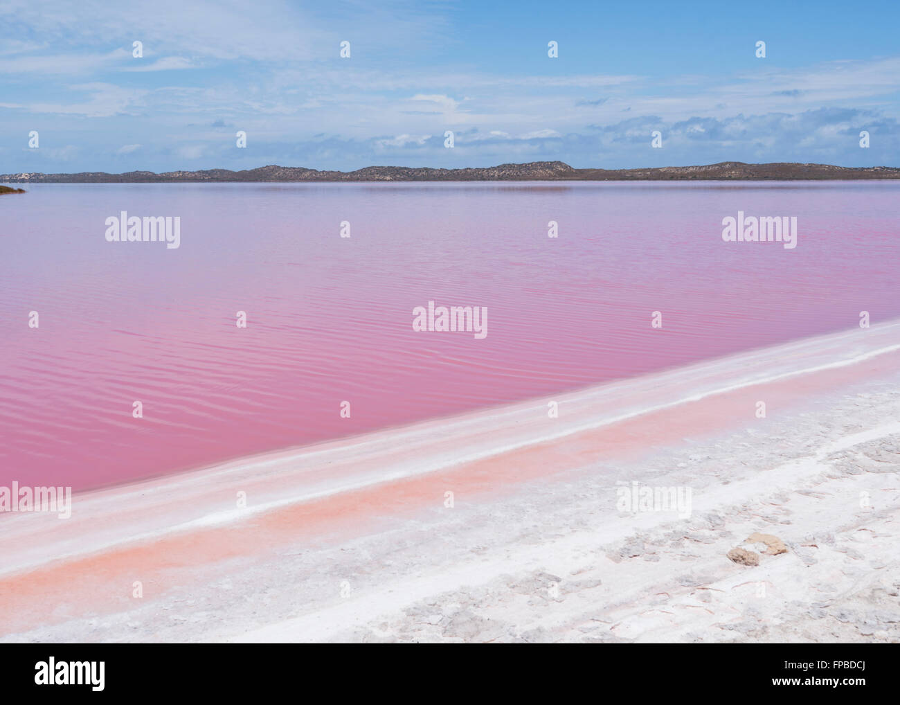 Laguna Hutt, Lago Rosa contenente beta-carotene, Western Australia, WA, Australia Foto Stock