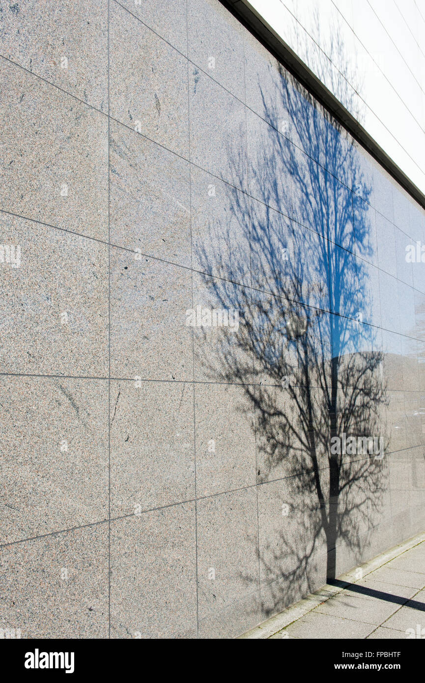 Tree ombra su un muro in Milton Keynes. Buckinghamshire, Inghilterra Foto Stock
