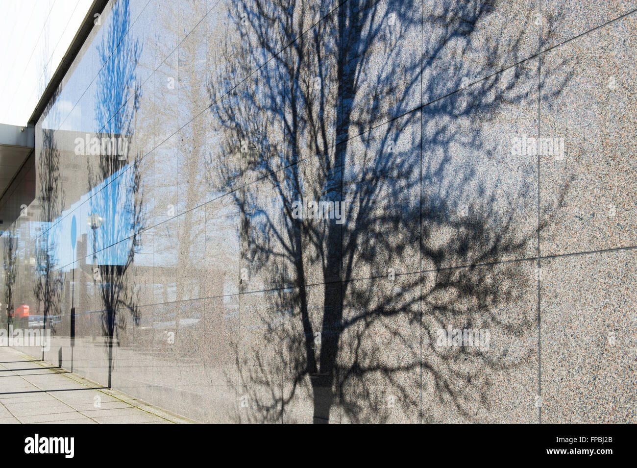 Tree ombra su un muro in Milton Keynes. Buckinghamshire, Inghilterra Foto Stock