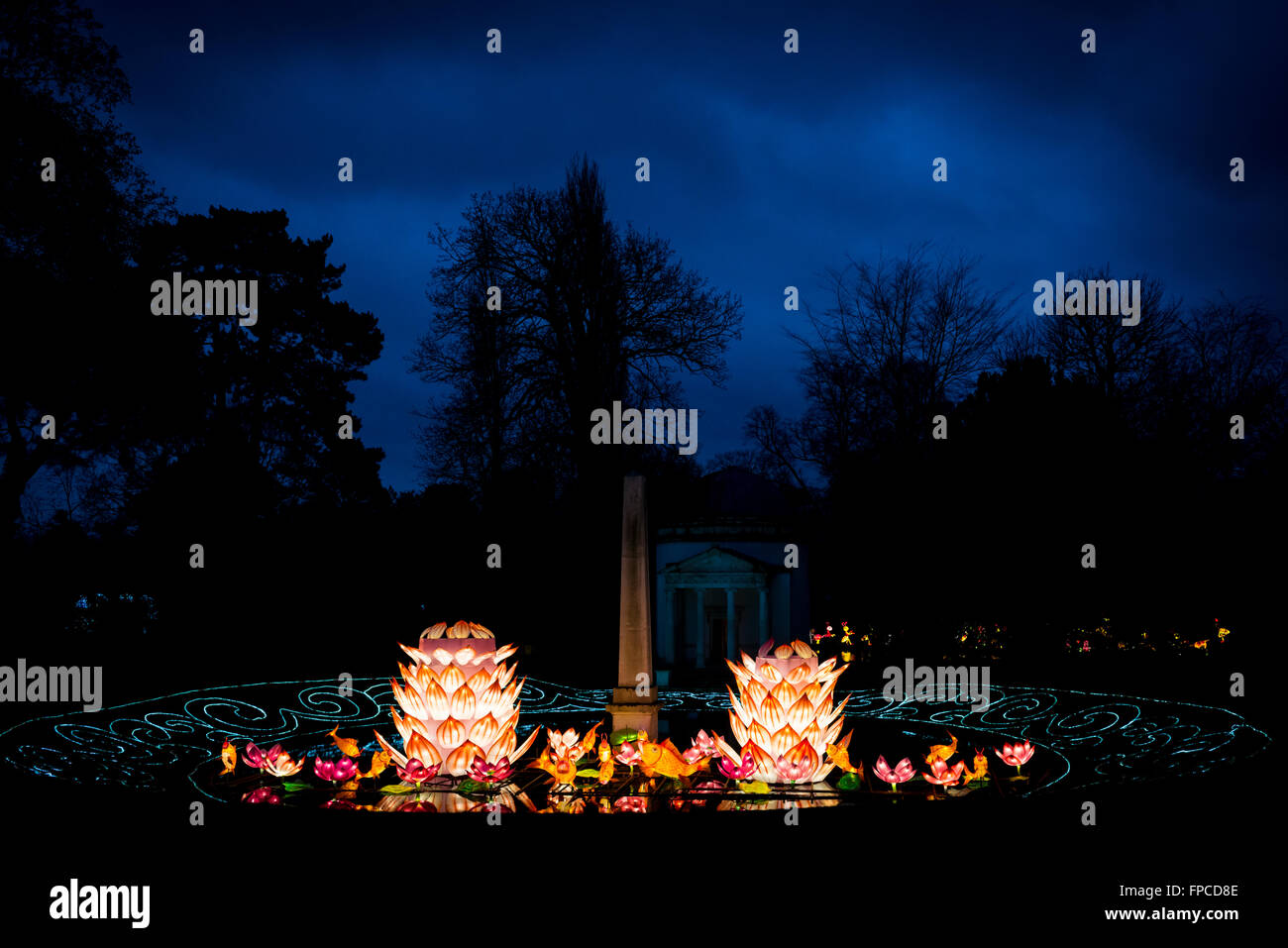 London, Regno Unito - Febbraio 07, 2016: lanterna magica festa a Chiswick House e giardini. I fiori di loto e coy fish Foto Stock