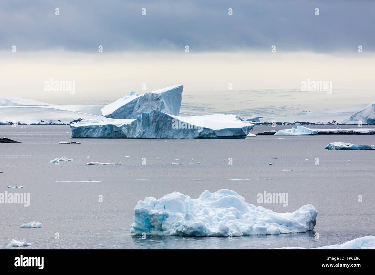 Iceberg nella Penisola Antartica, Antartide. Foto Stock