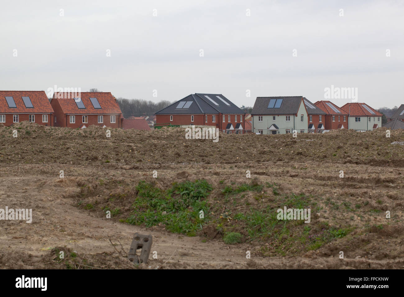 Nuovo alloggiamento dello sviluppo. Sito vergine. Hoveton. Wroxham. Norfolk. Foto Stock