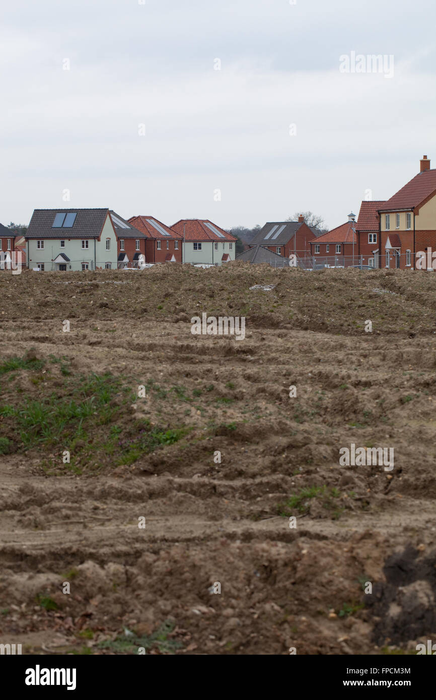 Nuovo alloggiamento dello sviluppo. Sito vergine. Hoveton. Wroxham. Norfolk. Foto Stock