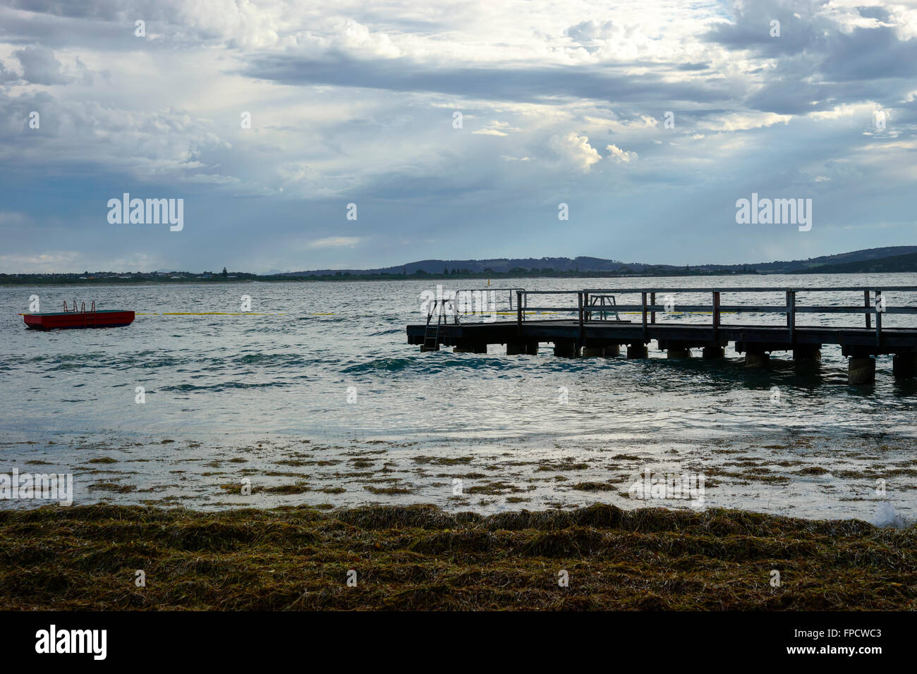 Erin Cove vicino a Middleton Beach Albany. Entro lo squalo Net. Foto Stock