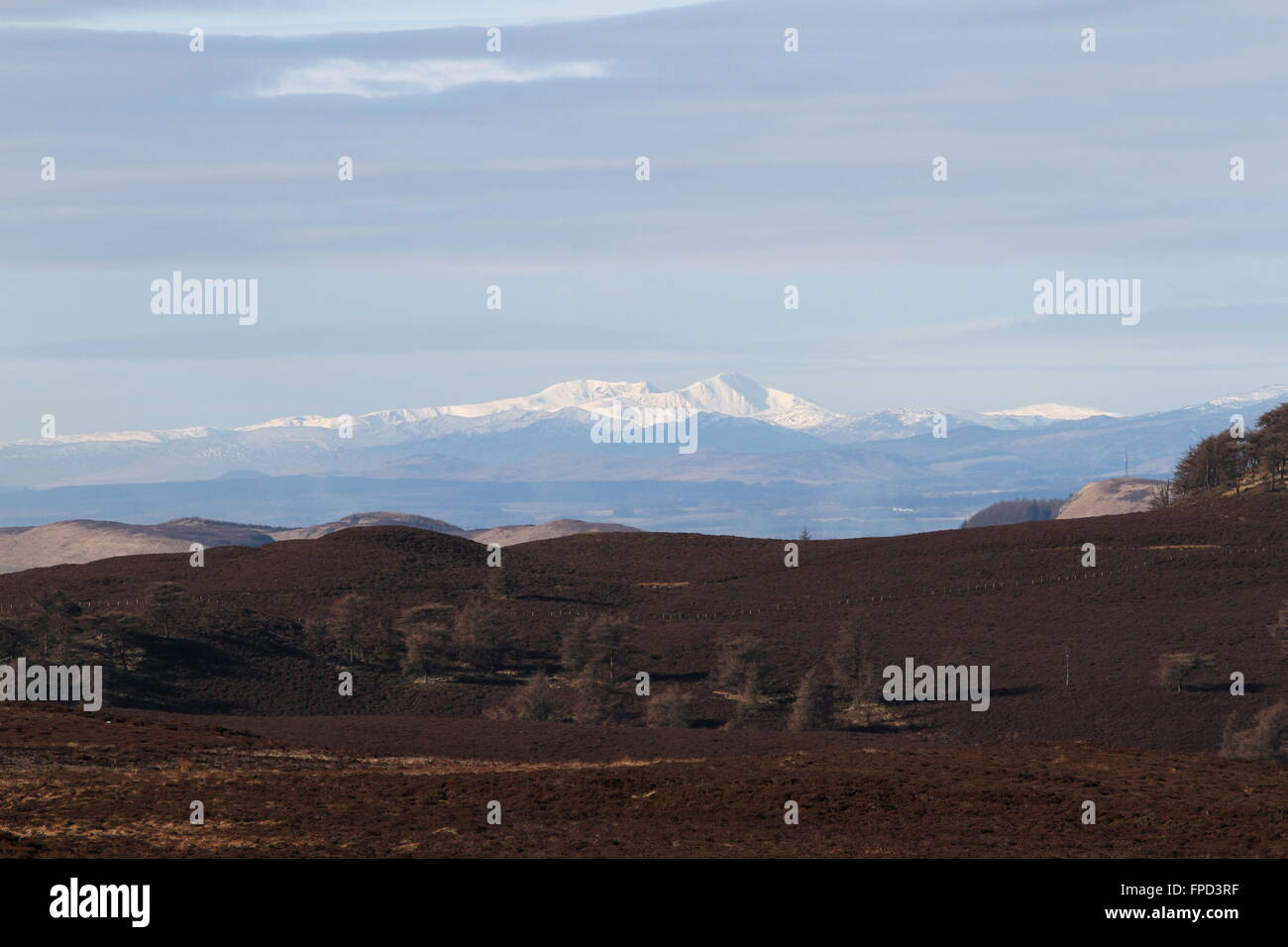 Picchi distanti della stuc un Chroin e Ben Vorlich visto da colline Sidlaw Scozia Marzo 2016 Foto Stock