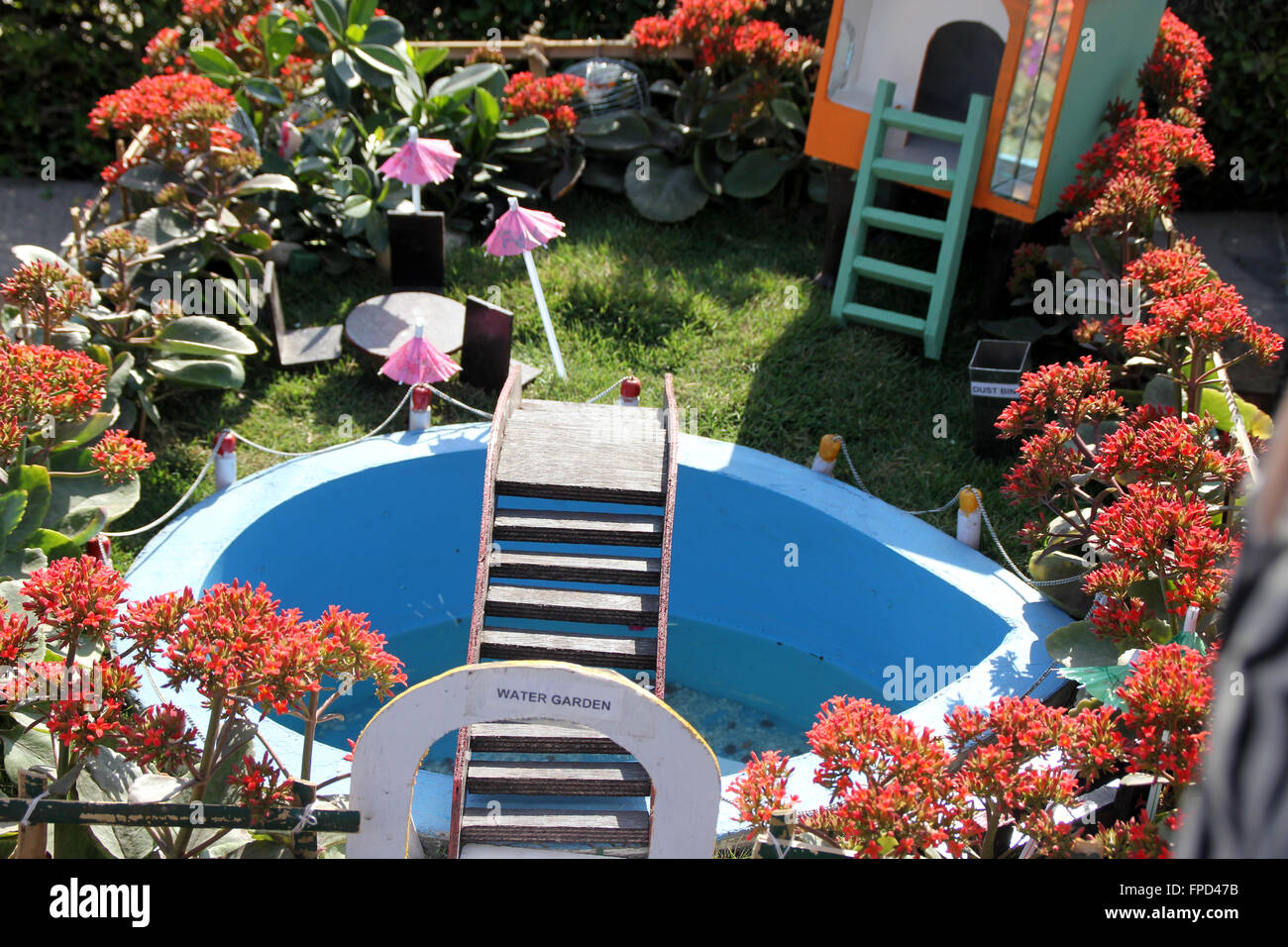 Mini giardino su un carrello visualizzate al Festival del giardino, completo con un laghetto, bridge, succulente, prato, capanna e giardino annuari Foto Stock