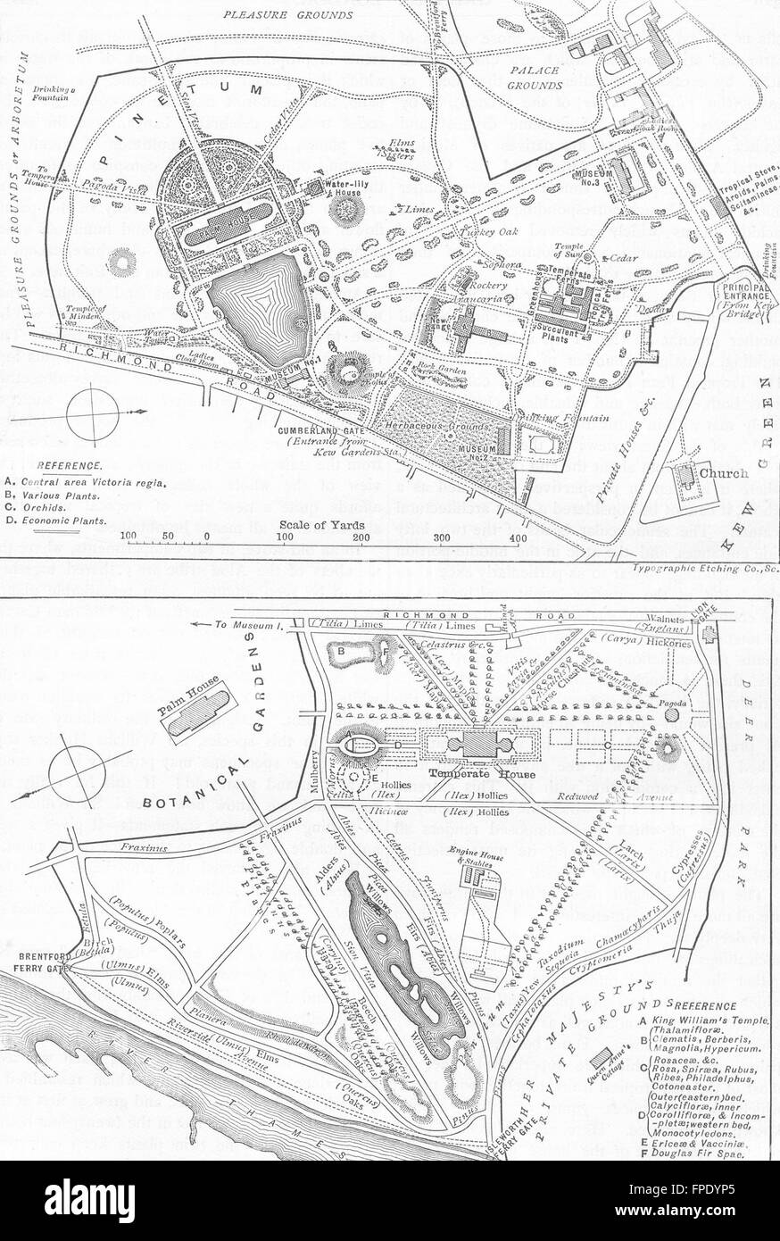 I Giardini di Kew: piani di Kew Gardens, 1888 Mappa antichi Foto Stock