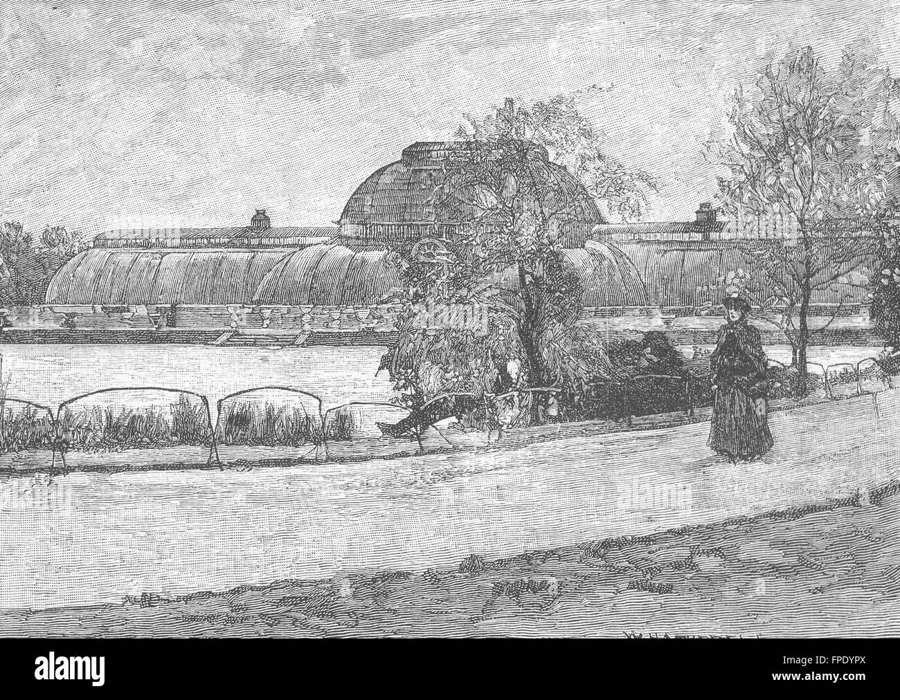 I Giardini di Kew: La Casa delle Palme, antica stampa 1888 Foto Stock
