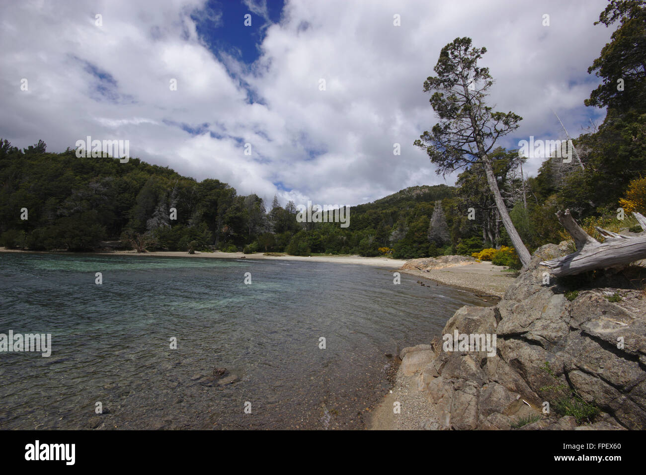 Riva del Lago Nahuel Huapi, Villa Tacul, Parque Municipal Llao Llao vicino a Bariloche, Patagonia, Argentinia Foto Stock
