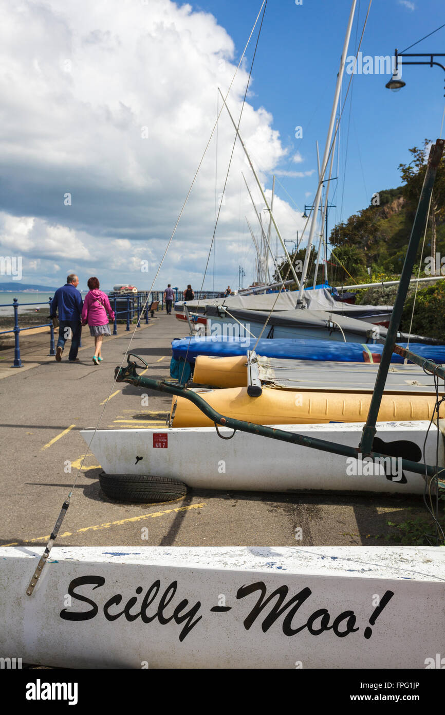 Barche a Mumbles, nr Swansea, South Wales UK Foto Stock