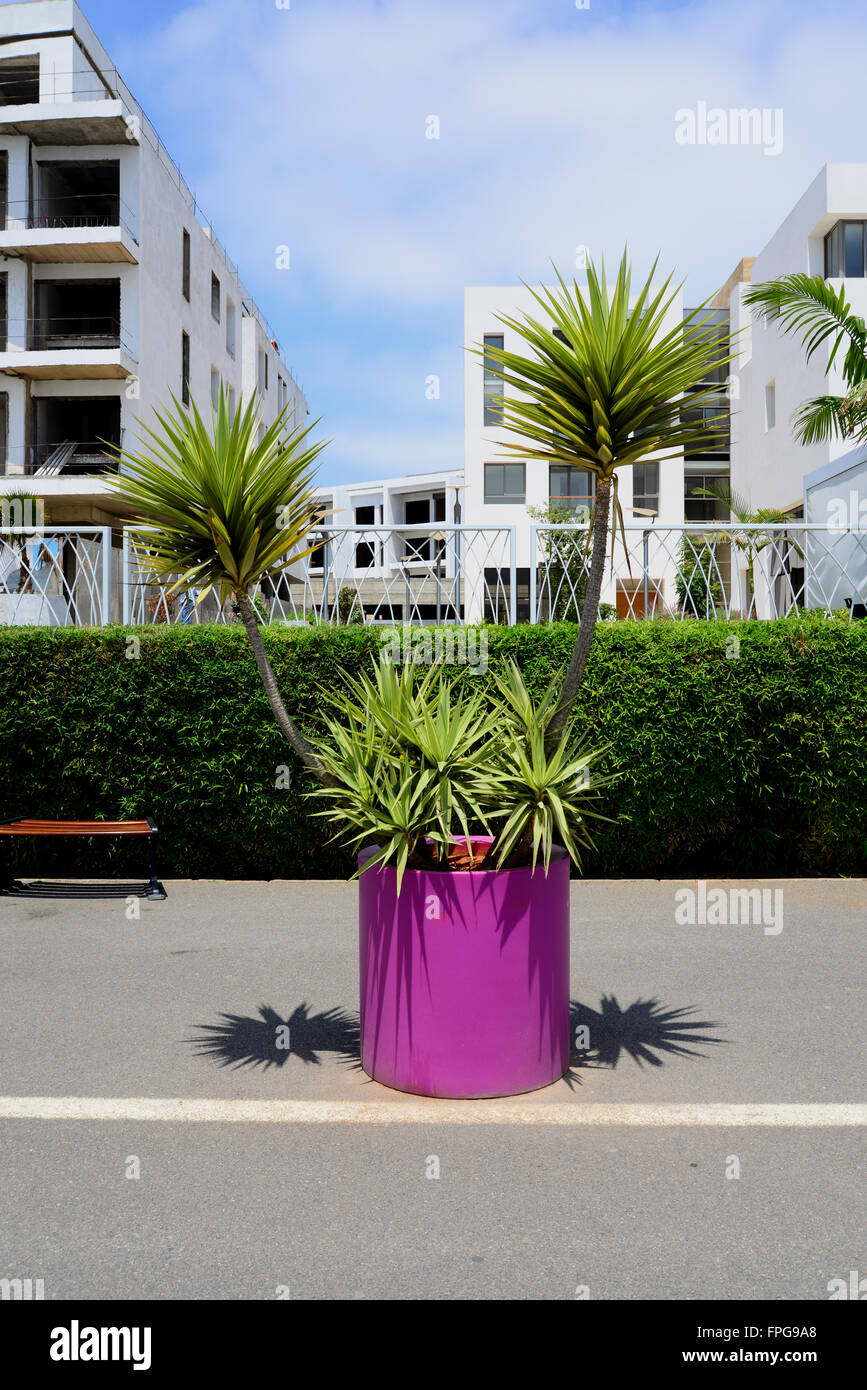 Il Marocco, Rabat, Vendita Marina Foto Stock