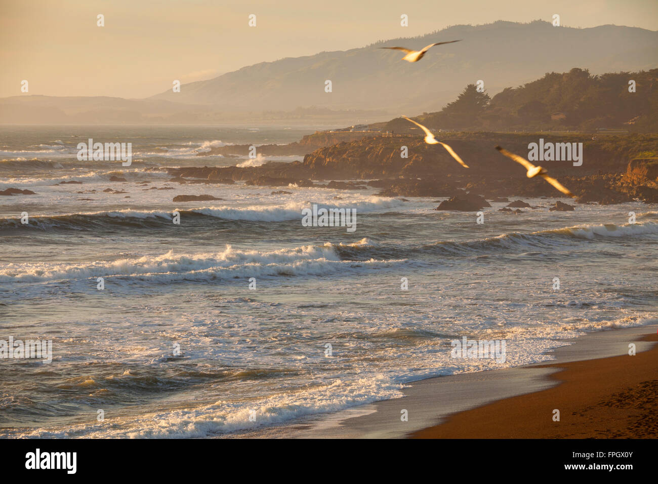Navigare in Pietra di Luna Beach, Cambria, California Foto Stock