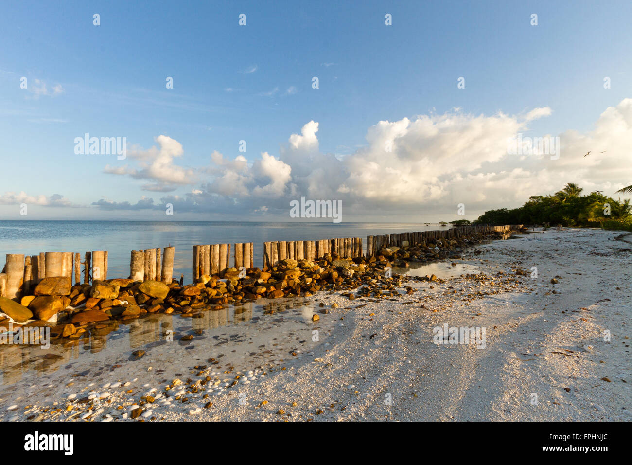 Litorale di recinzione di spiaggia sul Mar dei Caraibi con puffy nuvole all'alba, tralicci e rocce creare ostacolo per ridurre al minimo i fenomeni di erosione Foto Stock
