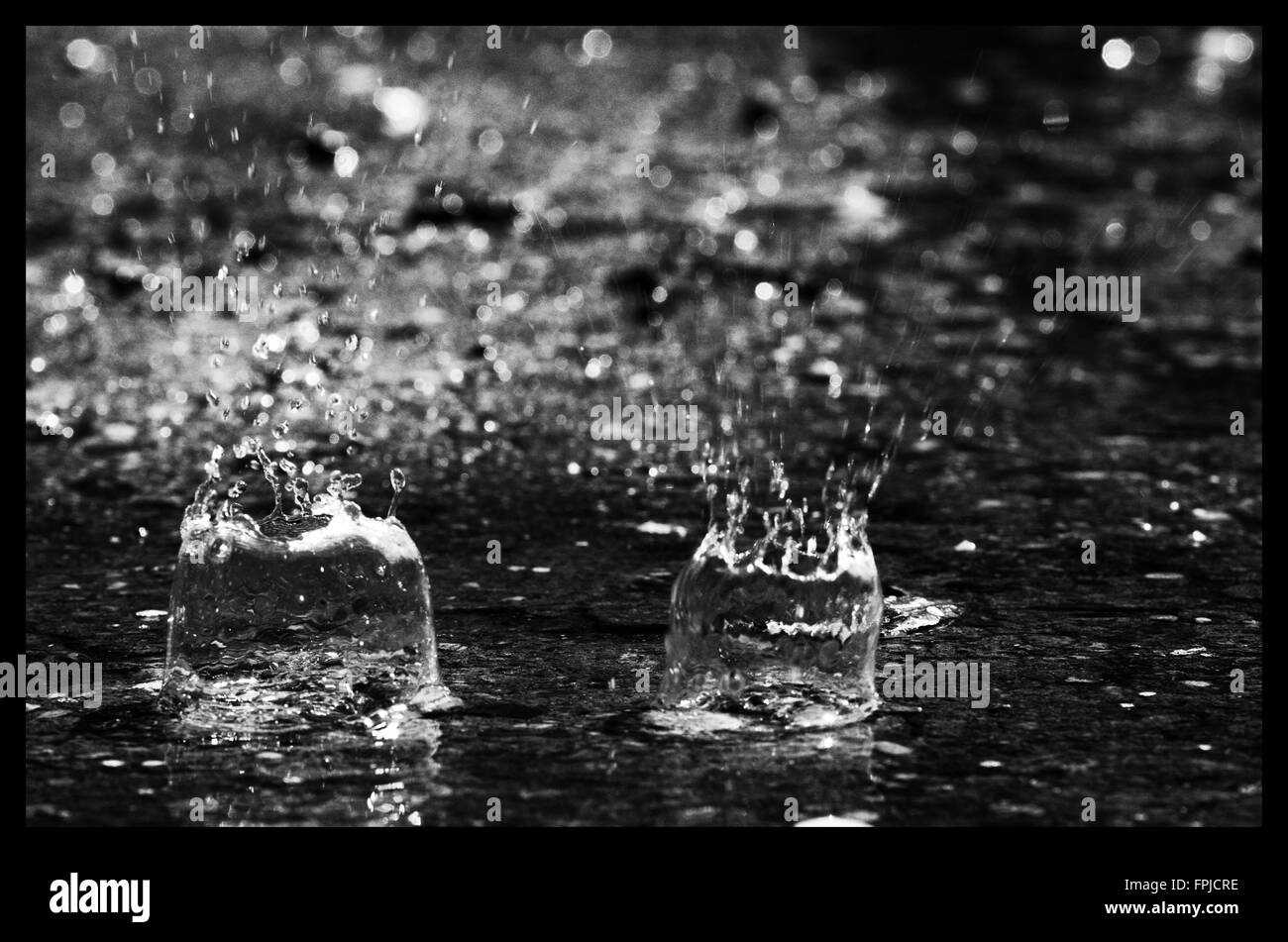 Gocce di pioggia in una pozza Foto Stock