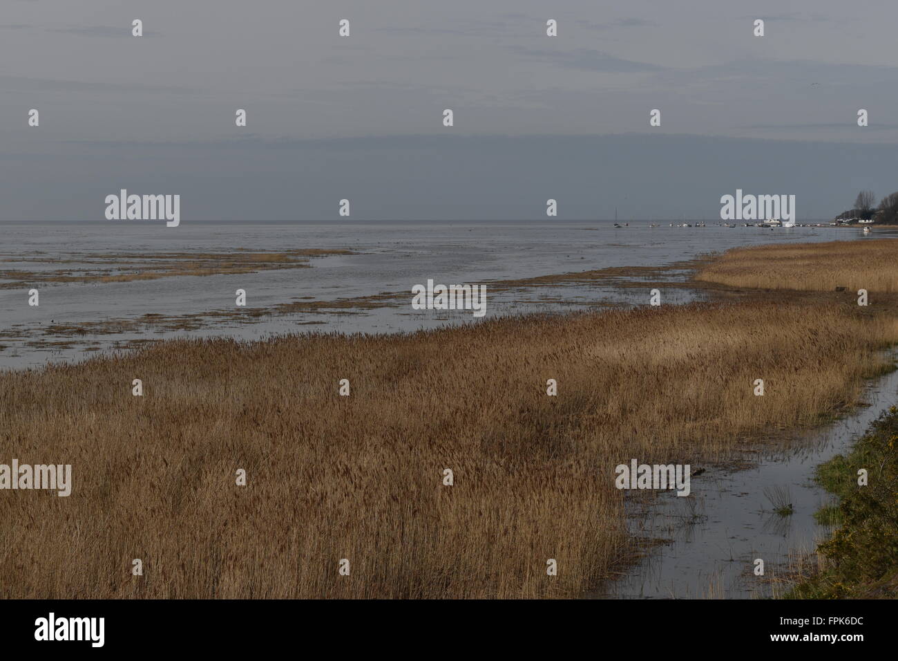 Abbassare paludi Heswall Wirral, Merseyside guardando verso Thurstaston. Foto Stock