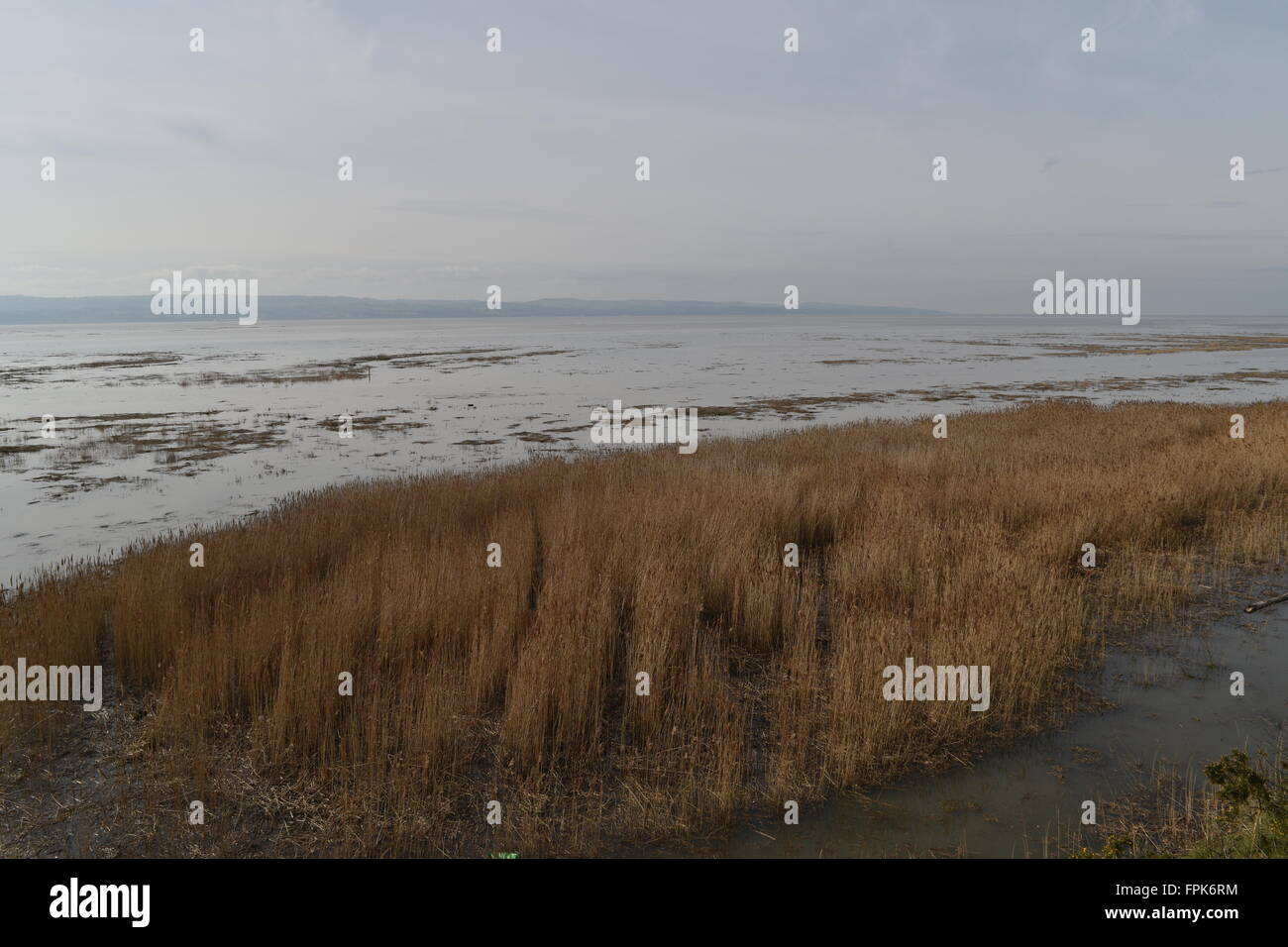 Abbassare paludi Heswall Wirral, Merseyside guardando verso il nord del Galles oltre la Dee estuario. Foto Stock