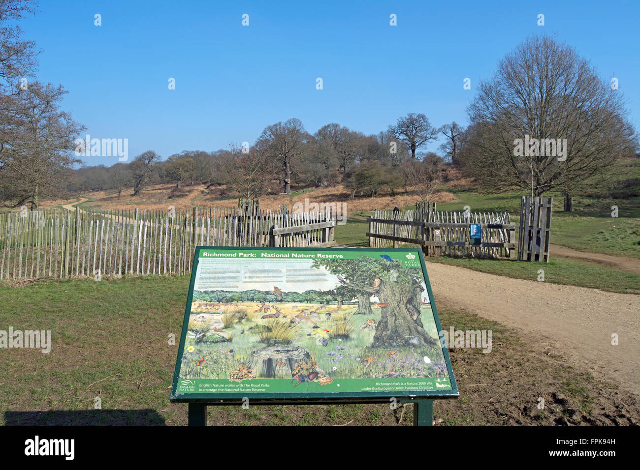 La sezione di Richmond Park, Londra, Inghilterra, con parco bacheca in primo piano Foto Stock