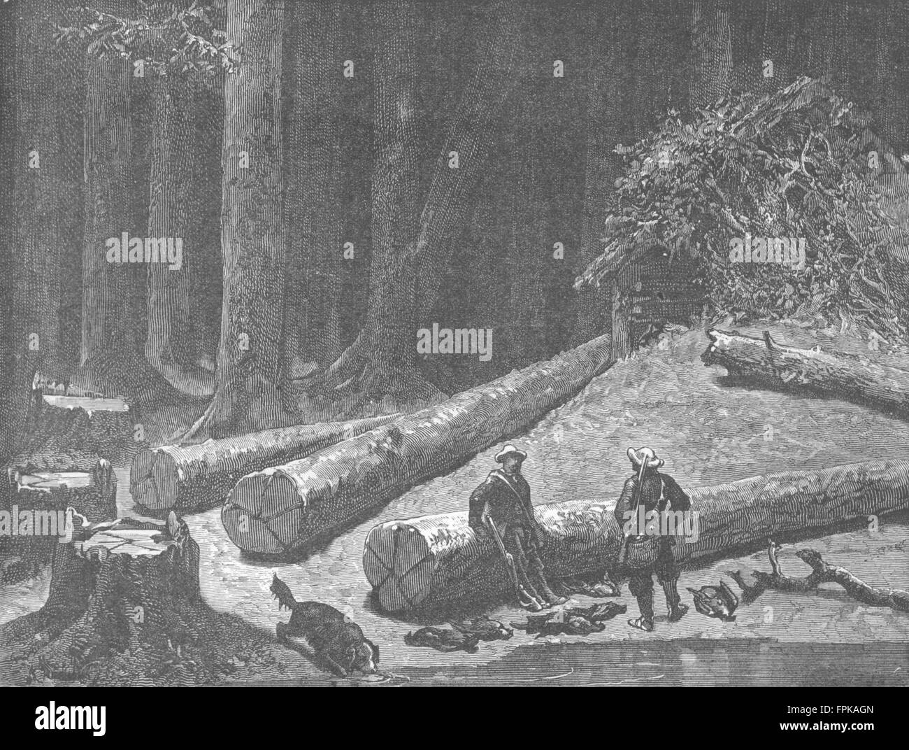 WISCONSIN: Camp in una foresta di pini, antica stampa 1880 Foto Stock