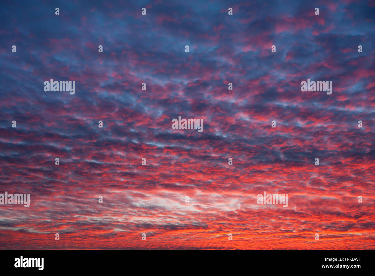 Spettacolare Rosso Blu Cielo di tramonto, crepuscolo vibrante luce solare colorato sulla formazione di nubi, cloudscape e sunny crepuscolo meteo Foto Stock