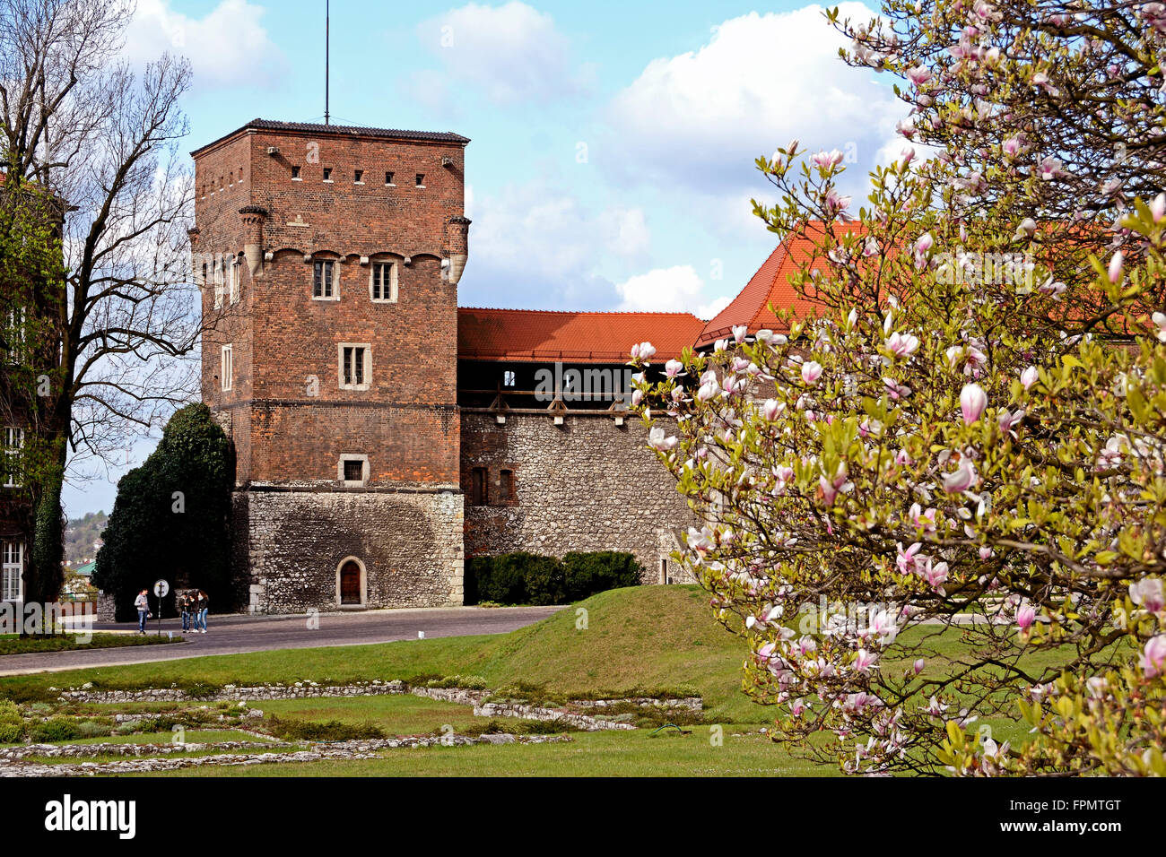 La Polonia, il cortile interno del castello con la torre del castello di Cracovia Foto Stock