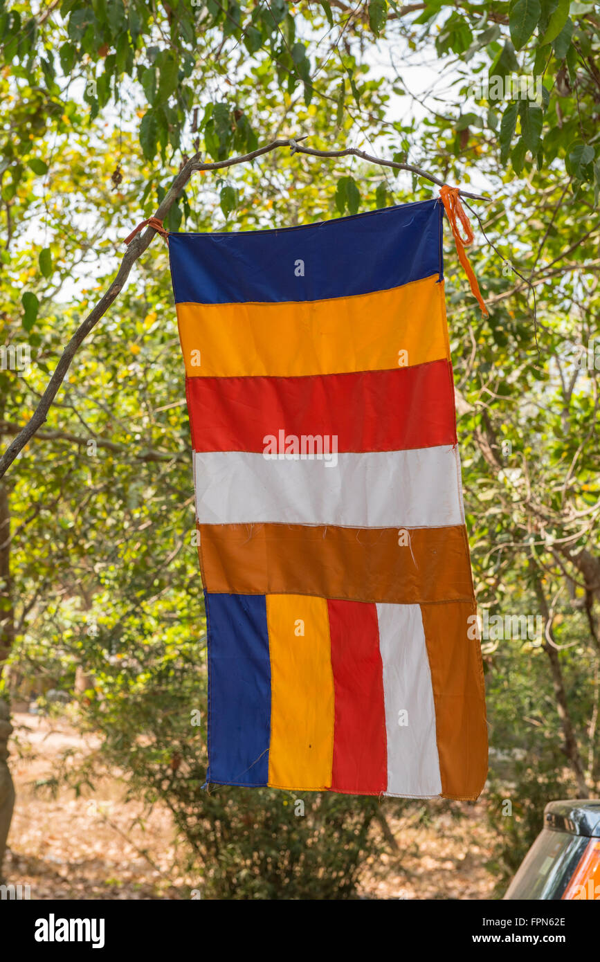 Religiosa Buddista bandiera nella giungla vicino a Ta Prohm, Cambogia Foto Stock