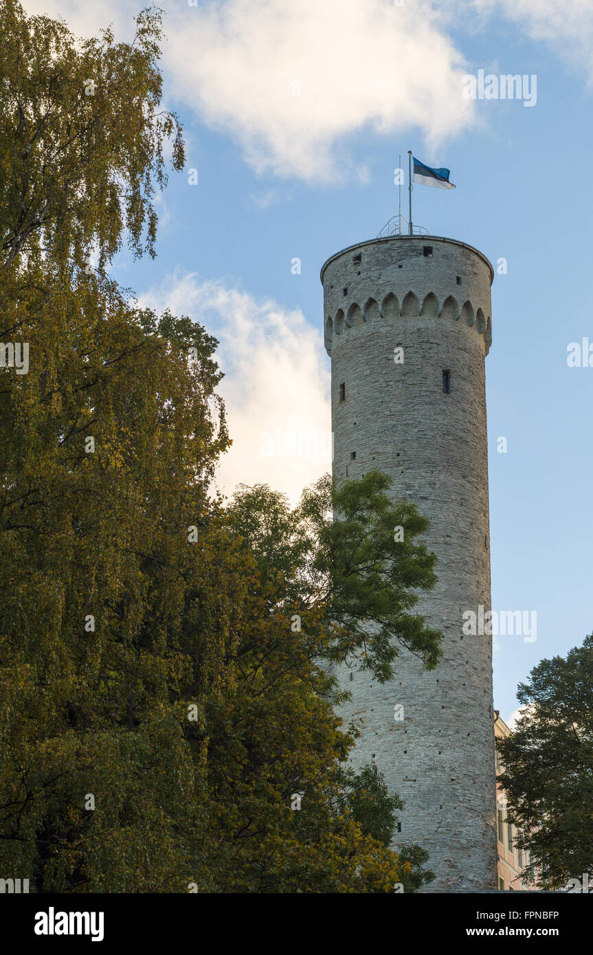 Pikk Hermann o Tall Hermann è una torre del Castello di Toompea, Tallinn, Estonia. La bandiera nazionale è alzata. Foto Stock