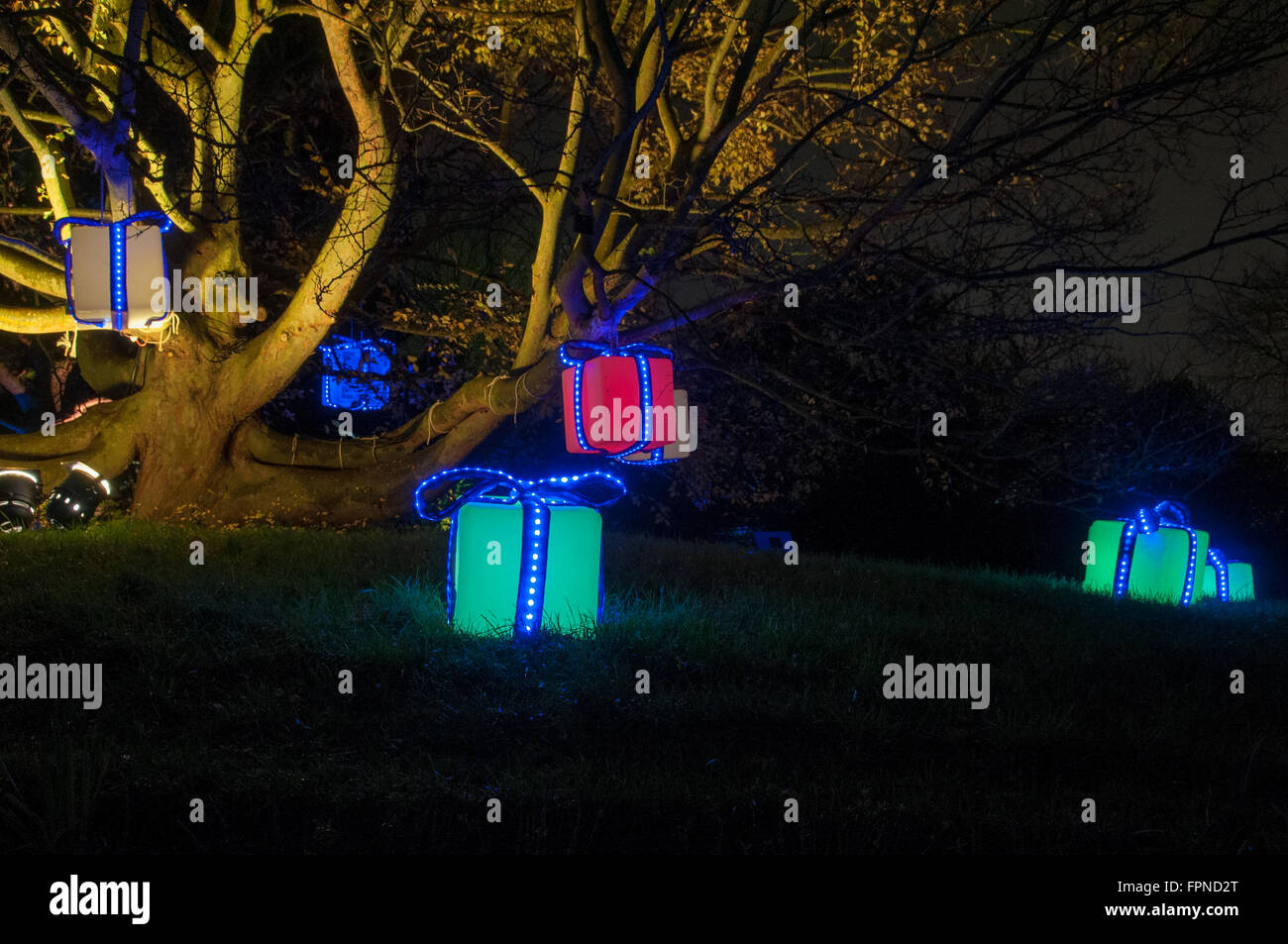 Gli illuminati doni presenta display luci di Natale xmas stagionali illuminazione illuminazioni di Kew Gardens, Londra UK. Foto Stock