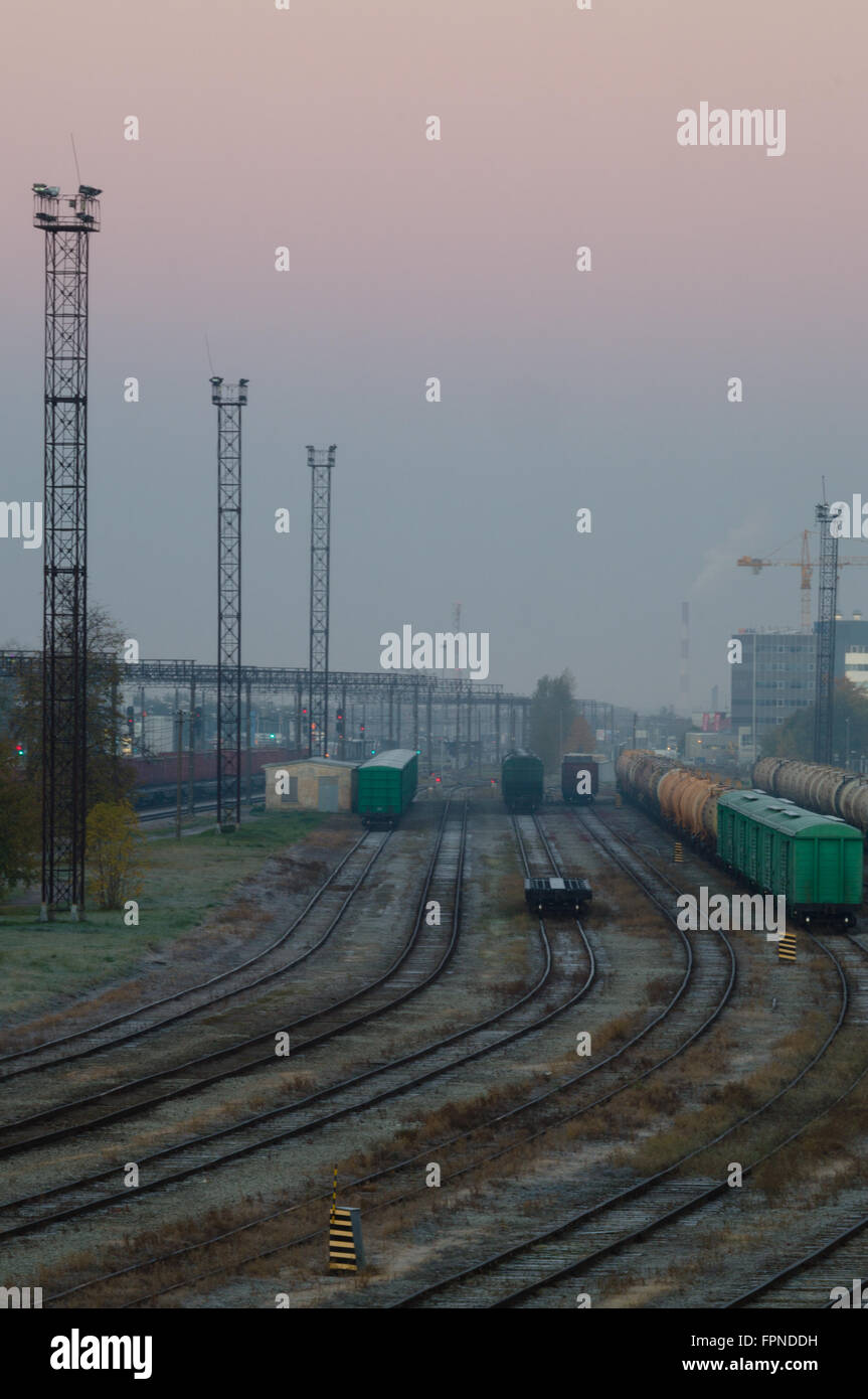 Treno merci piattaforma con contenitori sui primi foschia mattutina Foto Stock