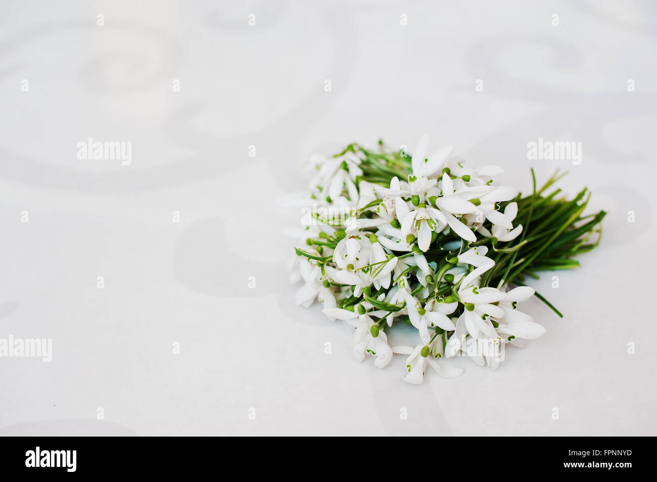 Snowdrop fiori in bianco sullo sfondo di lucentezza Foto Stock