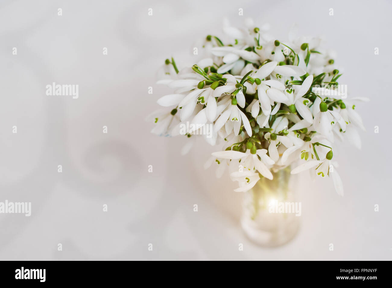 Snowdrop fiori in vaso su bianco lucentezza sfondo con ornamento Foto Stock
