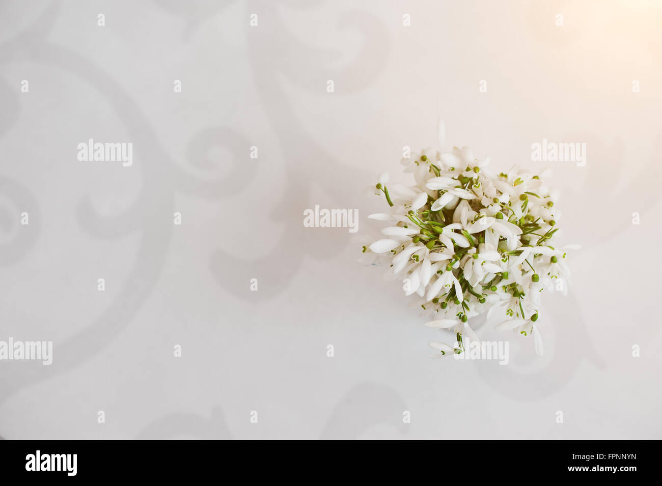 Snowdrop fiori in vaso su bianco lucentezza sfondo con ornamento Foto Stock