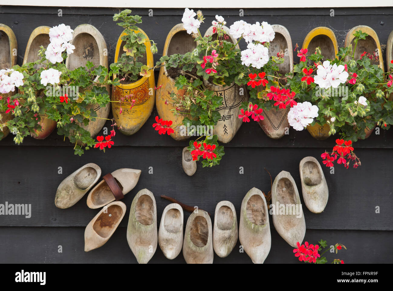 Zoccoli - scarpe su una parete in legno con fiori. Uno dei simboli dei  Paesi Bassi Foto stock - Alamy