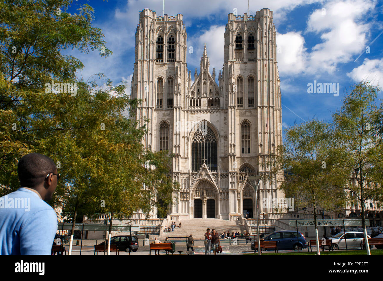 St Michael's e Ste Gudule Cathedral, Bruxelles, Belgio. Cathédrale des Sts Michael et Ste Gudule. La costruzione del gatto Foto Stock