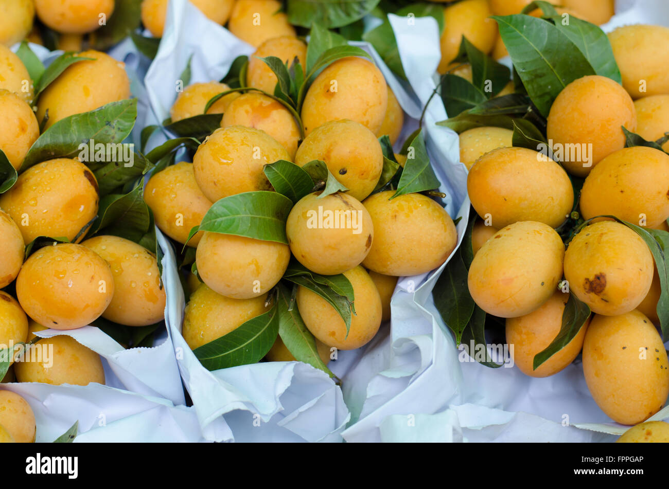 Prugna Mango nel mercato locale, Thailandia Foto Stock