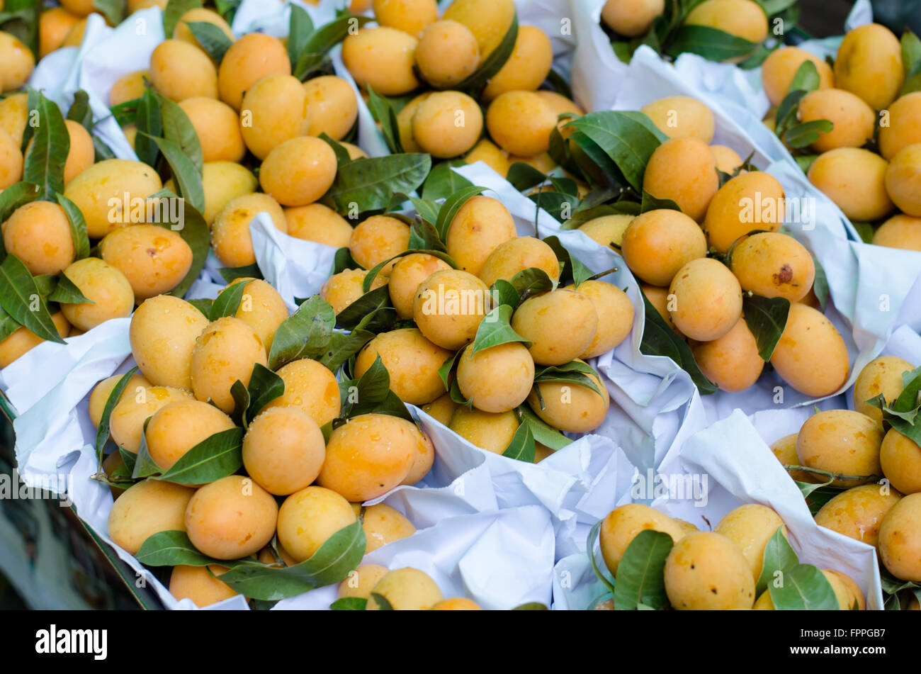 Prugna Mango nel mercato locale, Thailandia Foto Stock