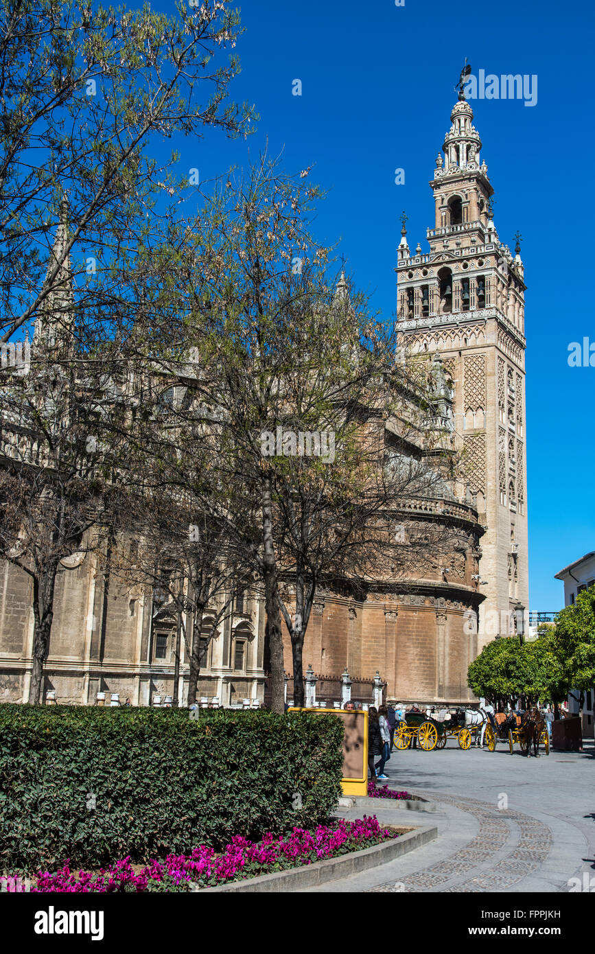 La Giralda torre campanaria, Cattedrale, Siviglia, Andalusia, Spagna Foto Stock