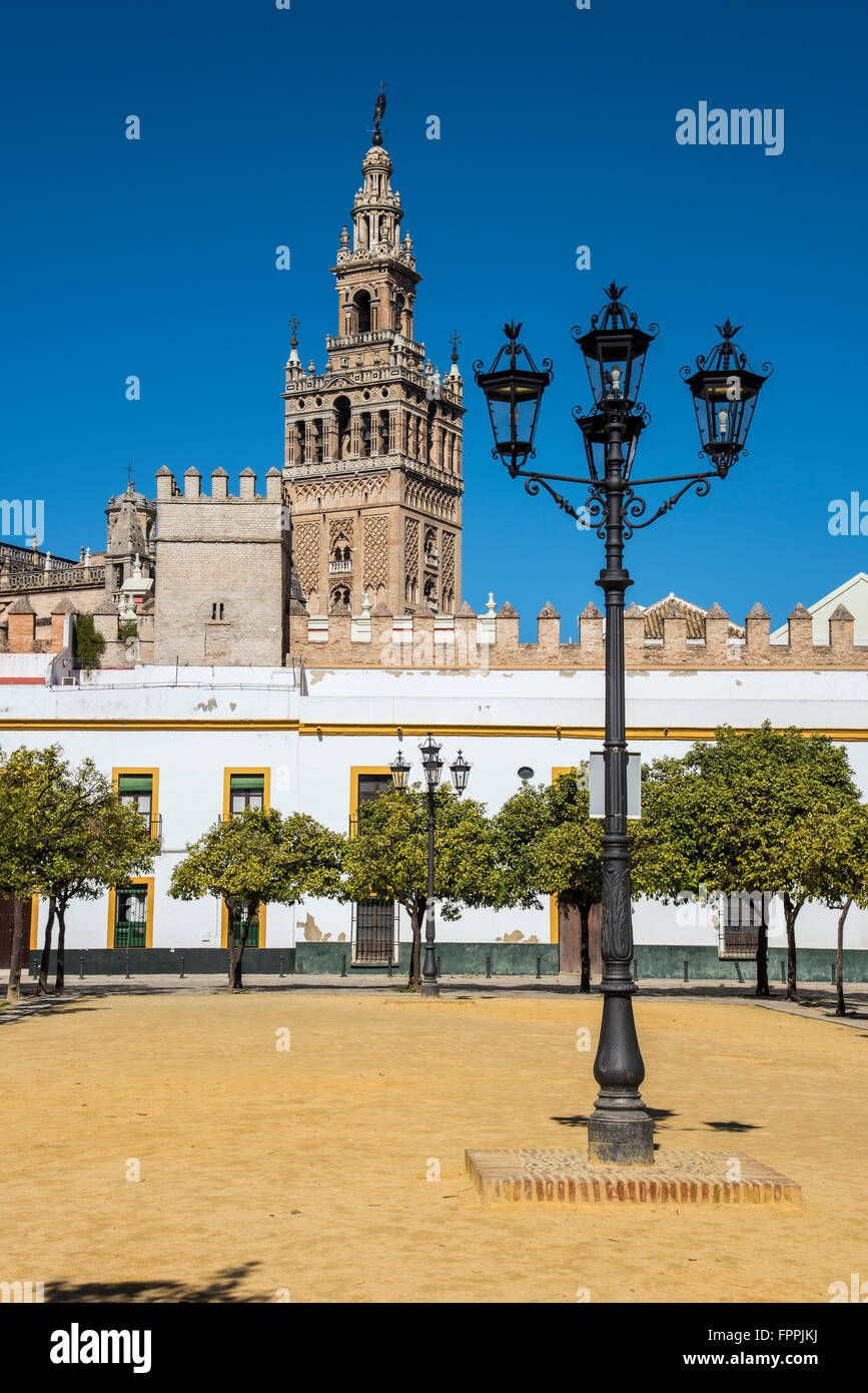 Plaza del patio de Banderas con il campanile di Giralda sullo sfondo, Siviglia, Andalusia, Spagna Foto Stock