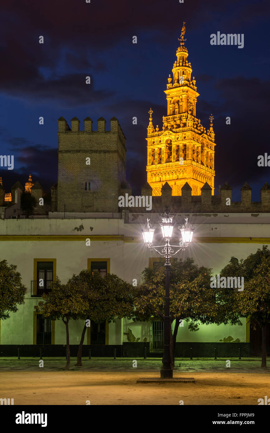 Vista notturna di Plaza del patio de Banderas con il campanile di Giralda sullo sfondo, Siviglia, Andalusia, Spagna Foto Stock