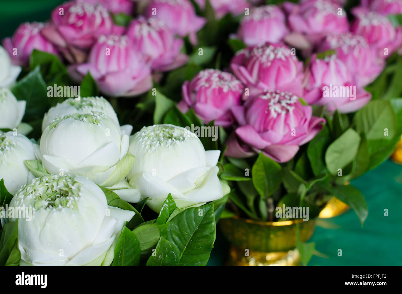 Stile tradizionale tailandese folding white lotus bouquet Foto Stock