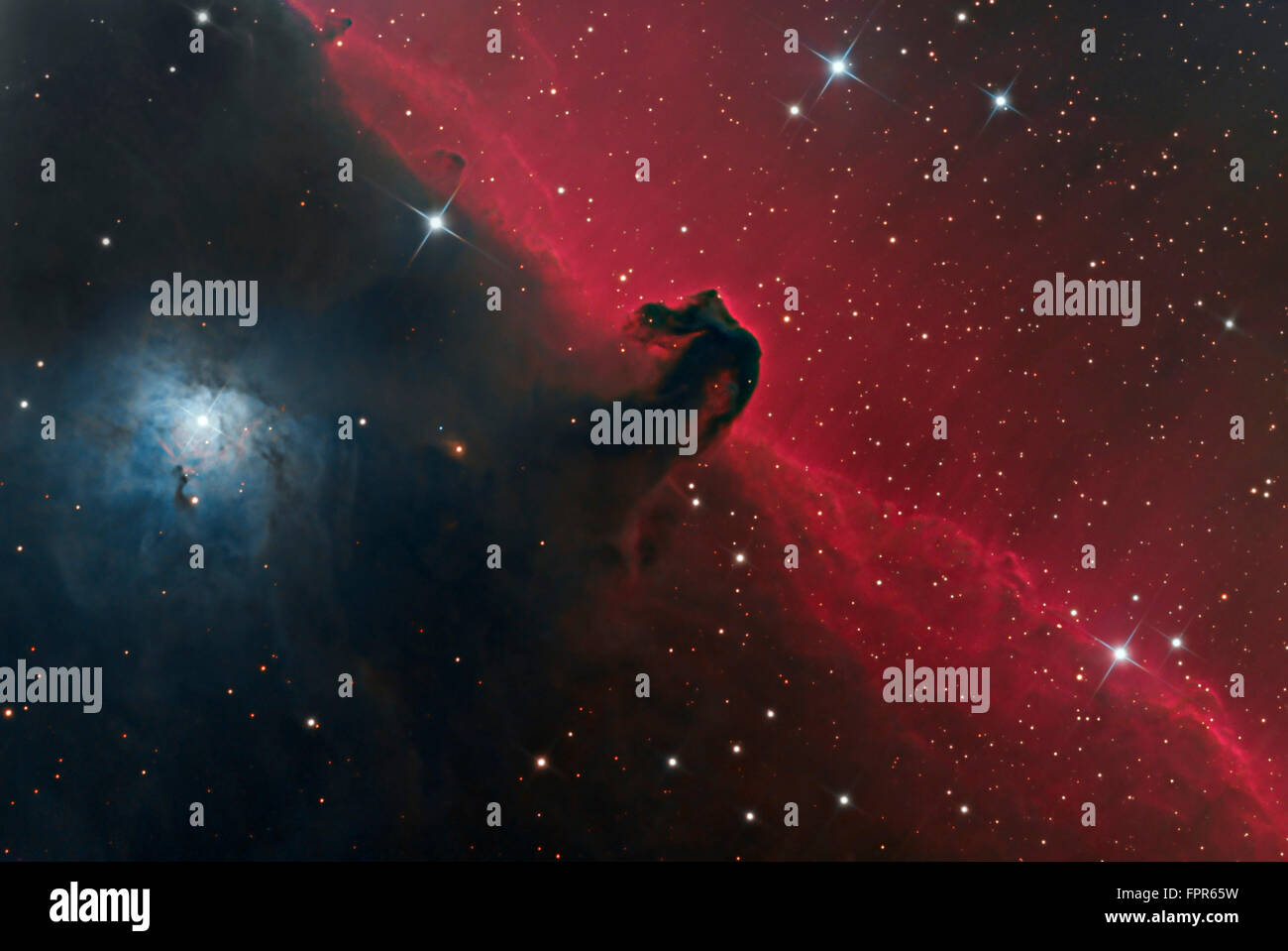 La Horsehead Nebula nella costellazione di Orione. Foto Stock