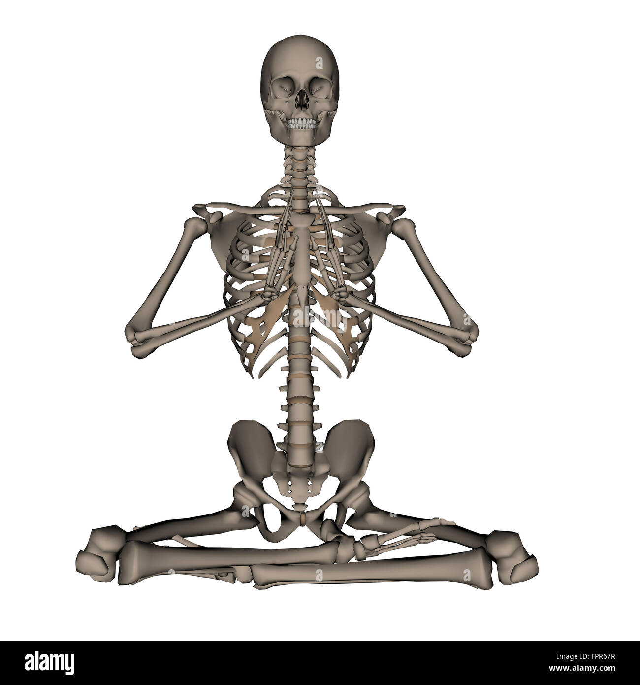 Vista anteriore dello scheletro umano meditazione, isolati su sfondo bianco. Foto Stock