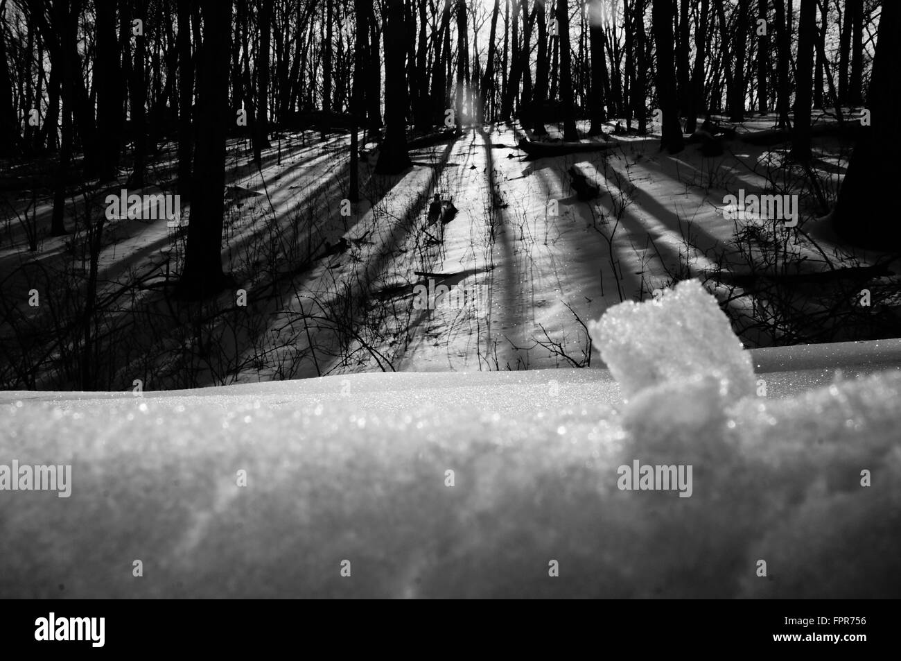 Posa con la messa a terra. Elementi Foto Stock